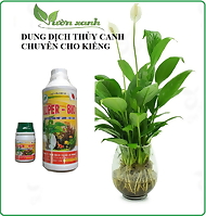 Dung dịch thủy canh Super- Bio chuyên dùng cho cây cảnh nước, rau thủy canh, rau mầm (100ml)
